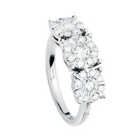 Anello Salvini Donna Daphne in Oro bianco Diamante 20041547